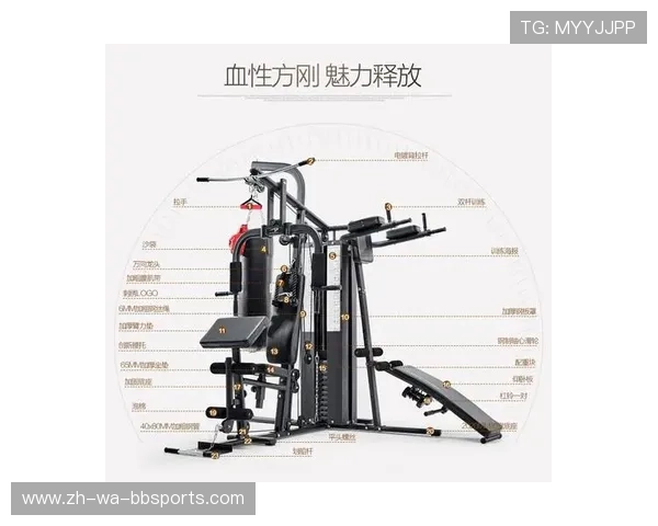 健身房常见健身器材全清单与图文说明